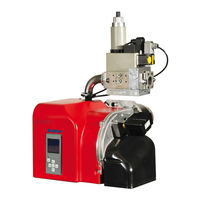 Ecoflam MAX GAS 250 PAB Manual Del Usuario