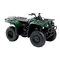 Vehículos Todoterreno Yamaha BIG BEAR PROFESSIONAL 400 Manual Del Propietário