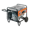 Generadores EINHELL STE 5500 Manual De Instrucciones