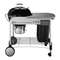 Weber PERFORMER