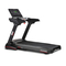 Dispositivos Electrónicos de Fitness BH G6178 Manual De Instrucciones