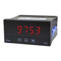 Fema Electronica M40-P Manual De Usuario