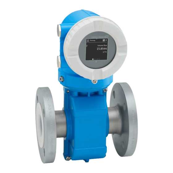 Endress+Hauser Proline Promag P 10 Manual De Instrucciones