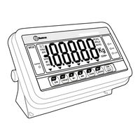 Baxtran BR30 Manual De Usuario
