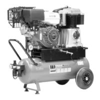 Schneider Airsystems PetrolMaster 500-15-50 B Manual De Instrucciones Original