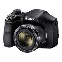 Sony Cyber-shot DSC-H300 Guia Del Usuario