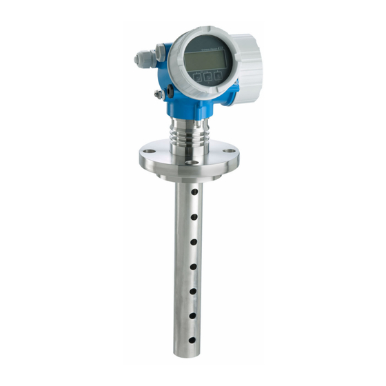 Endress+Hauser Levelflex FMP55 Manual De Instrucciones