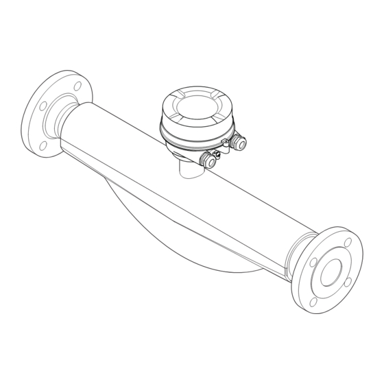 Endress+Hauser Proline Promass F 100 Manual De Instrucciones