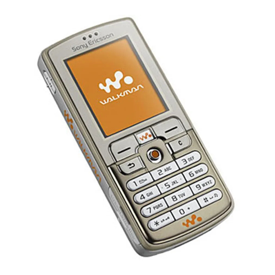 Sony Ericsson W700i Manual Del Usuario