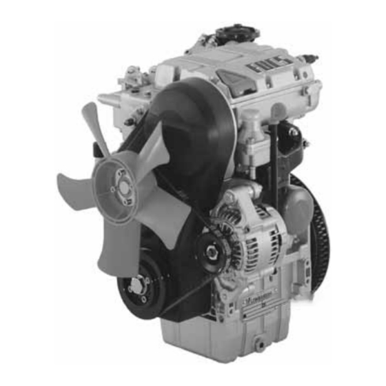 Kohler Lombardini LDW 502 Manual Del Usuario