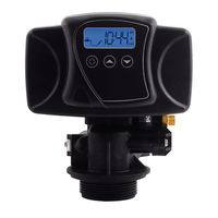 Pentair FLECK 5600SXT Manual De Servicios