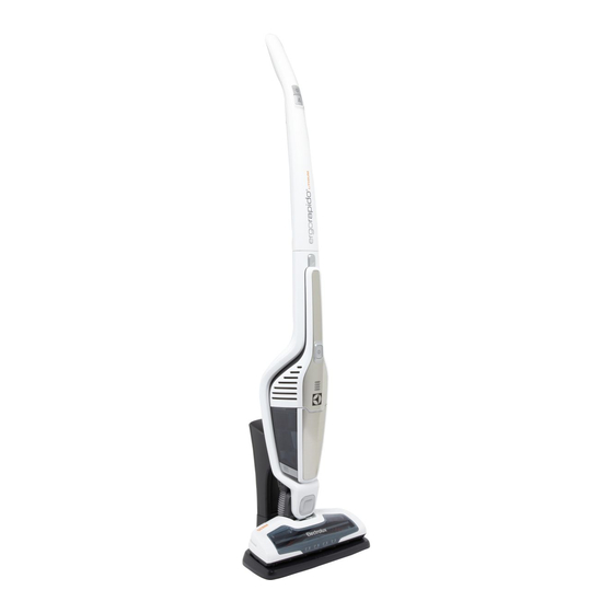 Electrolux Ergorapido 12V Manual De Instrucciones