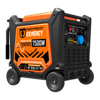 Genergy TENERIFE 7500W Instrucciones De Uso