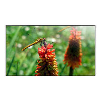 Philips Signage Solutions BDL4988XL Manual Del Usuario