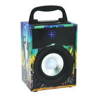 Party Light & Sound PARTY-DISCO4 Manual De Instrucciones