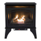 Chimeneas de Interior Pleasant Hearth VFS2-PH20DT Manual Del Usuario