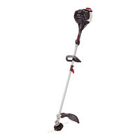 Troy-Bilt TB6042 XP Manual Del Operador