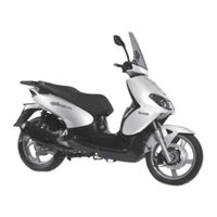 Benelli CaffeNero 250 2012 Manual Del Usuario