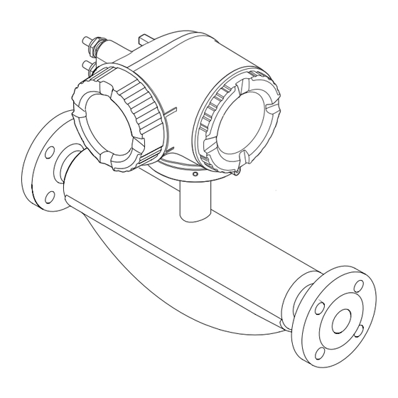 Endress+Hauser Proline Promass F 300 Manual De Instrucciones