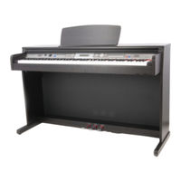 thomann DP-30 Manual De Instrucciones