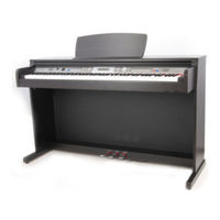 thomann DP-30 Manual De Instrucciones