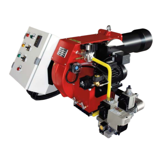 Ecoflam Multicalor 170.1 Manual De Instrucciones