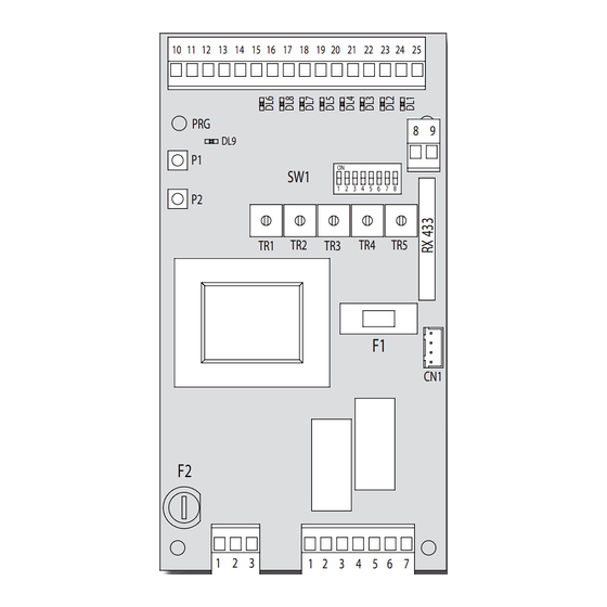 Daspi D-SPEED Manual De Instrucciones