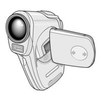 Sanyo VPC-C4GX Manual De Instrucciones
