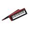 Instrumentos Musicales Korg RK-100S 2 Manual Del Usuario