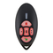Controles Remotos Paradox REM2 Manual De Instrucciones