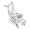 Graco Euroliners 231-337