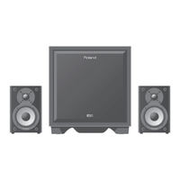 Roland CUBE MONITOR CM-110 Manual Del Usuario