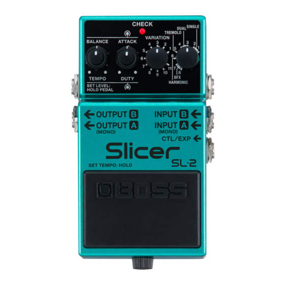Boss Slicer SL-2 Manual Del Usuario
