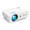 Vankyo Leisure 430 - Manual del proyector