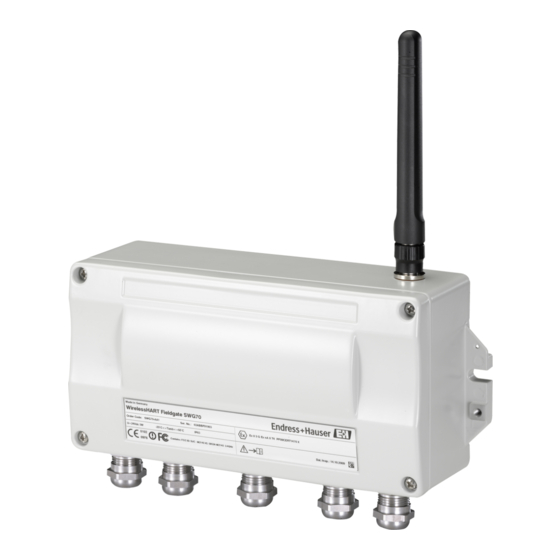 Endress+Hauser WirelessHART Fieldgate SWG70 Manual De Instrucciones
