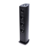 Pioneer S-FS73A Manual De Instrucciones