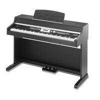 thomann DP-31 WH Manual De Instrucciones