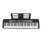 Casio Casiotone LK-S250
