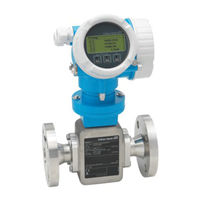 Endress+Hauser Proline Promag H 200 Manual De Instrucciones