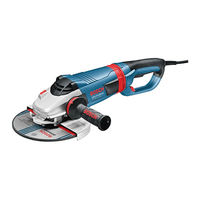 Bosch GWS 24-180 LVI Manual Original
