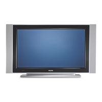 Philips FLAT TV Manual De Usuario
