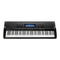 Casio WK-500