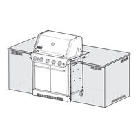 Weber SUMMIT SB38 S Manual Del Usuario