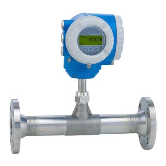 Endress+Hauser Proline t-mass F 300 Manual De Instrucciones