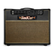 Bad Cat WILD CAT 40R - Manual del amplificador de guitarra