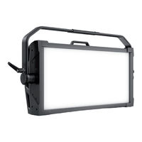 Cameo CLS4IP Manual De Usuario