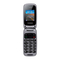 Celulares THOMSON TLINK40SIL Guía Rápida
