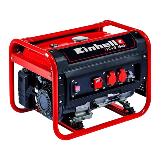 EINHELL TC-PG 2500 Manual De Instrucciones