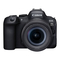 Cámaras Digitales Canon EOS R6 Mark II Guia Del Usuario Avanzada