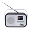 Daewoo AVS1403 - Radio DAB/FM con Manual de Pantalla a Color